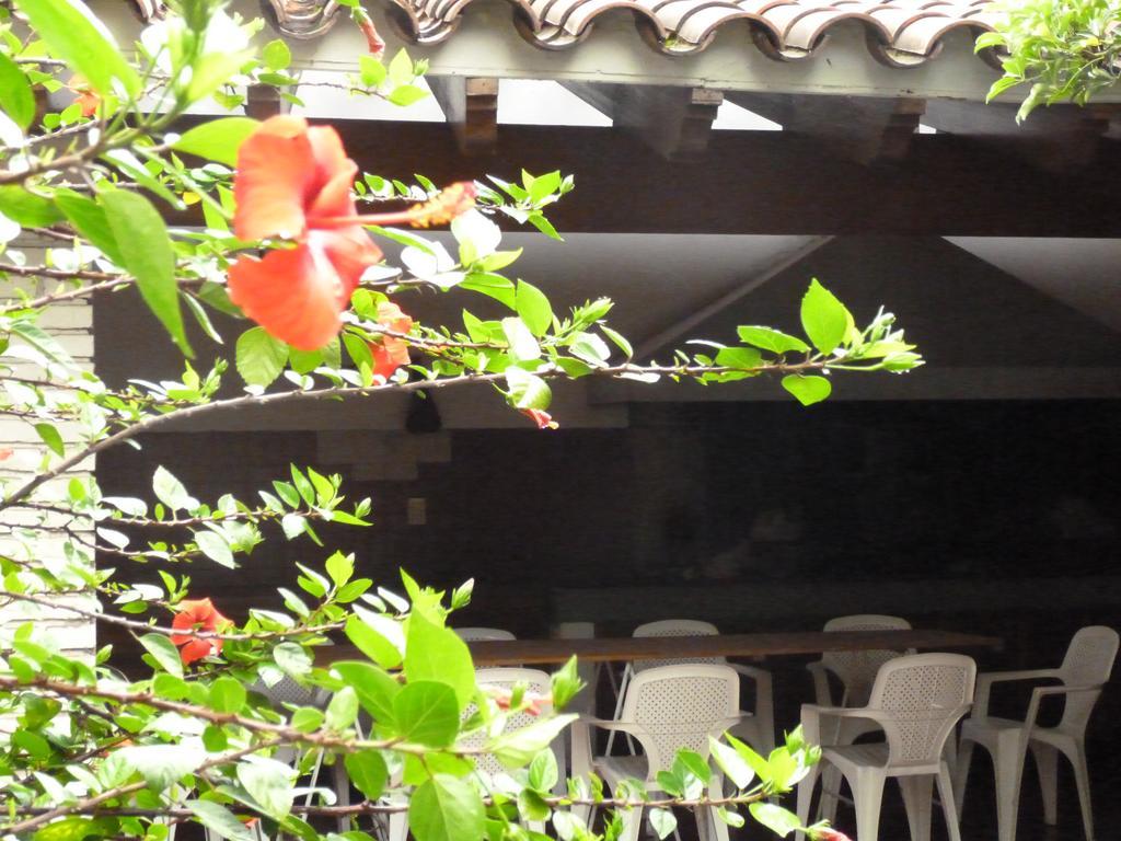 Hostel De Los Artistas Mendoza Luaran gambar
